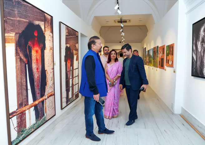 Visual Art gallery image 4